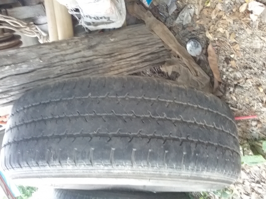 ขายล้อขอบ 14 มี  1 คู่