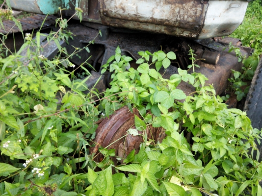 ขายรถแบคโฮ KOBELCO SK50UR ราคา 210000