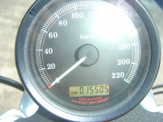 Harley Davidson Sportster Custom Performance 1 Greenbook