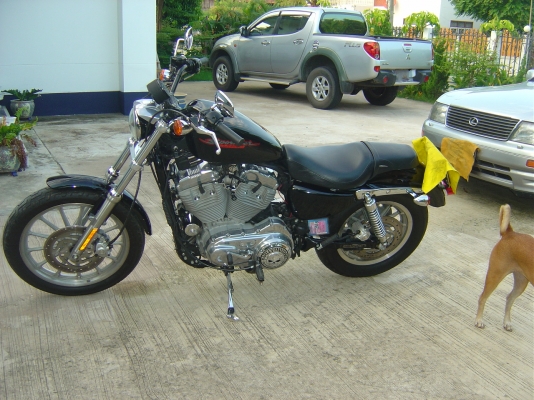 Harley Davidson Sportster Custom Performance 1 Greenbook