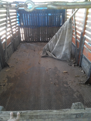 ขายรถ6ล้อ Isuzu npr 115