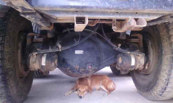 ISUZU FVZ34P 300 10 ล้อ 2 เพลาดัมพ์ กระบะสามมิตร ปี 54