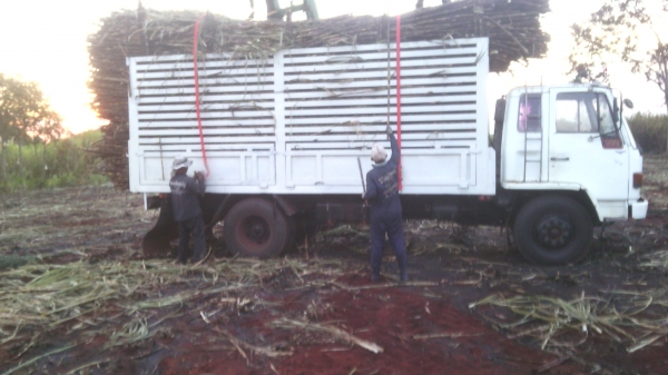 ขาย 6 ล้อร้อกกี้ FTR ยาว 5 เมตร