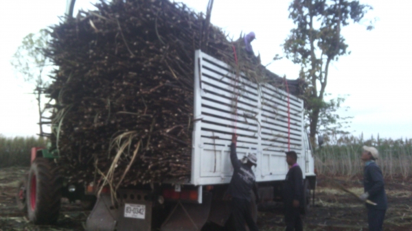 ขาย 6 ล้อร้อกกี้ FTR ยาว 5 เมตร