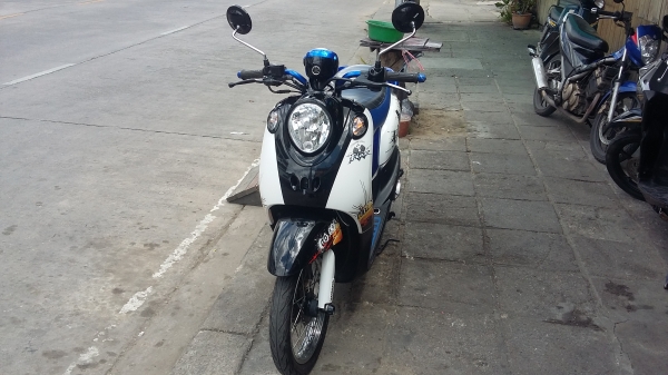 ฟีโน่ปี53