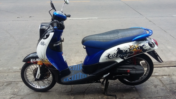 ฟีโน่ปี53