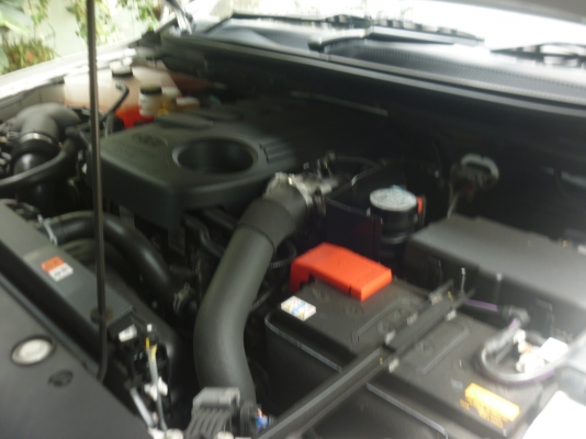 ขายฟอดร์ ซื้อมาไม่ได้คับ ป้ายแดง ใหม่