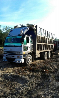 รถฮีโน่ 10 ล้อ รั่ว  KT925 เปลื่ยนเครื่อง 195 แรงม้า   สนใจติดต่อ 081 - 6079515