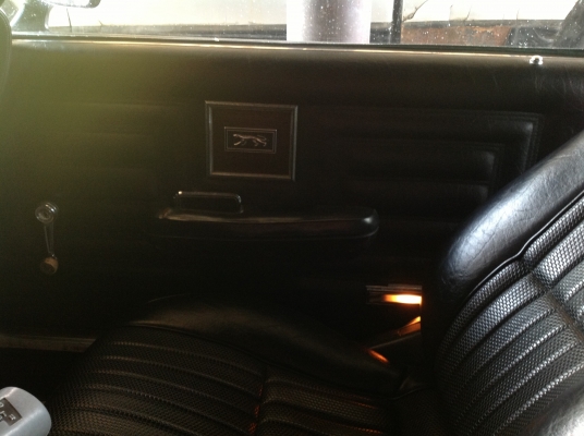 Cougar mercury eliminator 1970