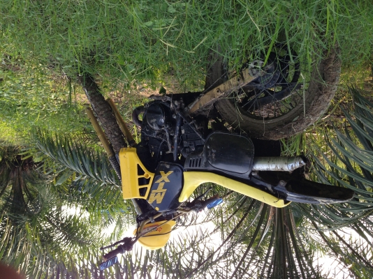 ขายHondaMTX125