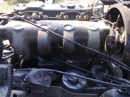 ขายดั้มเกษตร NPR 115แรง ขายดั้มเกษตร NPR 115แรง