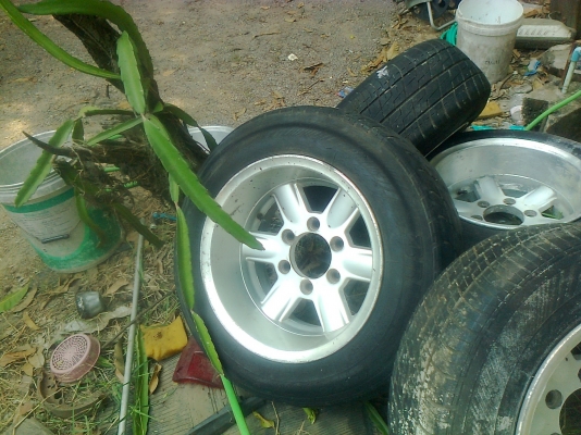 ขายแม็ก 6รู ขอบ 15 กว้าง 8.5