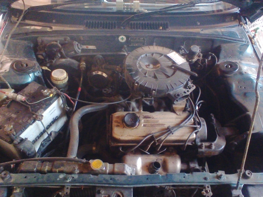 ขาย mitsu-champ ขาย mitsu-champ