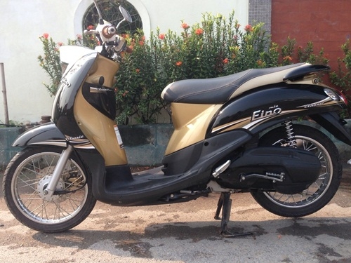 ขายfinoสีน้ำตาลดำ   เดือนกันยายน2555