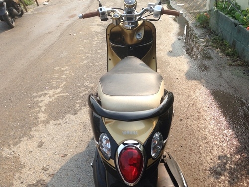 ขายfinoสีน้ำตาลดำ   เดือนกันยายน2555