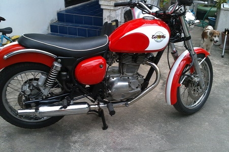 ขาย estela 250