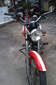 ขาย estela 250