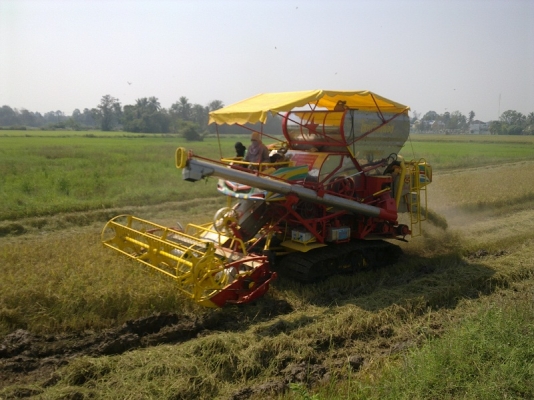 ขายไอ้หนุ่มไวไฟปี52 (รุ่นใหม่ ใหญ่กว่าเดิม) ขายไอ้หนุ่มไวไฟปี52 (รุ่นใหม่ ใหญ่กว่าเดิม)