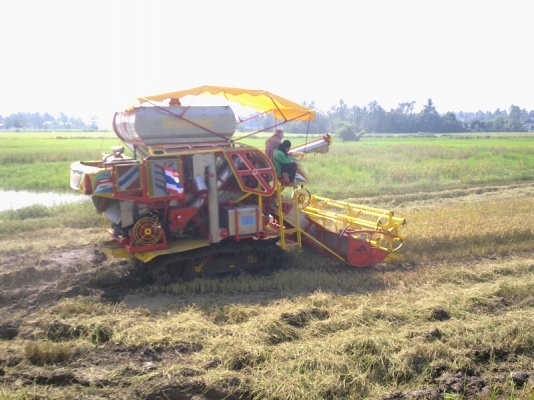 ขายไอ้หนุ่มไวไฟปี52 (รุ่นใหม่ ใหญ่กว่าเดิม) ขายไอ้หนุ่มไวไฟปี52 (รุ่นใหม่ ใหญ่กว่าเดิม)