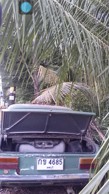 ขายFiat125spacial เครื่องดีช่วงล่างดีครับ 15000 บาท