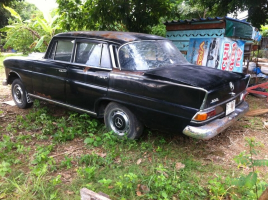 benz หางปลาตากลม