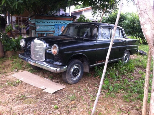 benz หางปลาตากลม