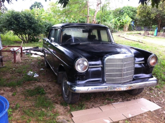 benz หางปลาตากลม