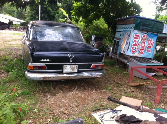 benz หางปลาตากลม