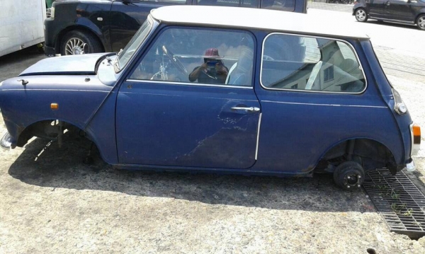 เต่า/มินิ