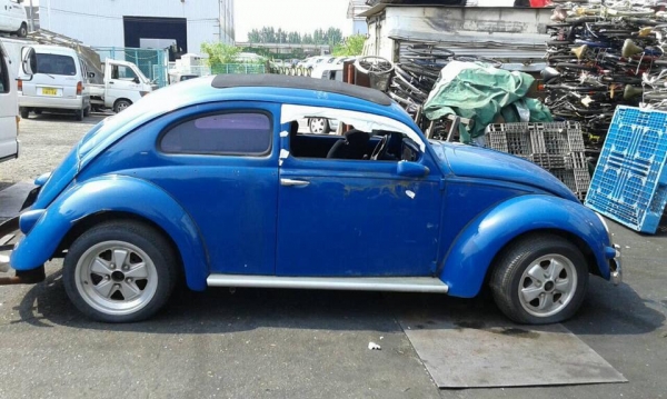 เต่า/มินิ