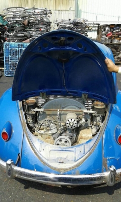 เต่า/มินิ