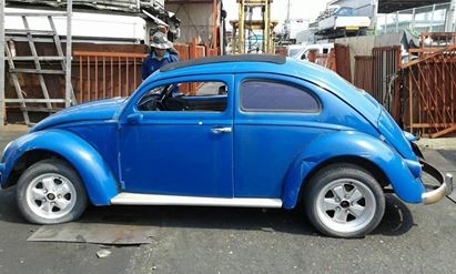 เต่า/มินิ