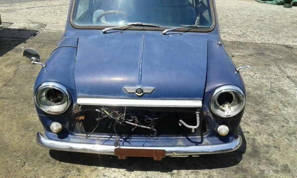 เต่า/มินิ