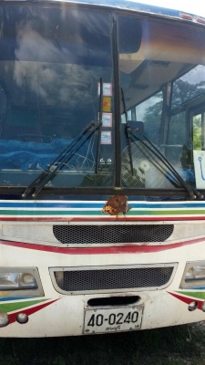 ขายด่วน รถบัสพัดลม สภาพดี พร้อมใช้งาน ติด NGV (คุณณคร) 0814340969