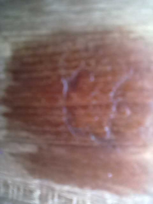 ขายถังข้าวไม้สัก20ล.มีตราครุฑ