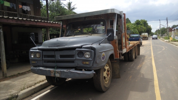 ขายเทนเลอร์หัวยาว