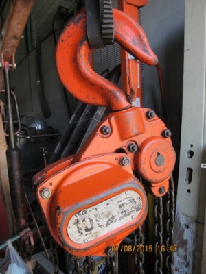 ขายรอกสาวตราช้าง ญี่ปุ่นแท้ขนาด10ตัน