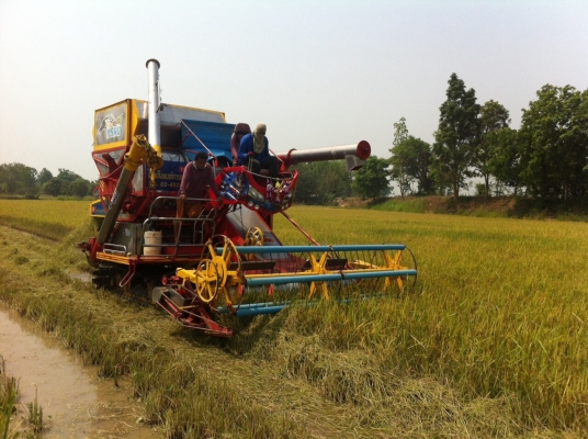 ขายรถเกี่ยวข้าวไทยเส็งยนต์ถูกๆร้อนเงิน