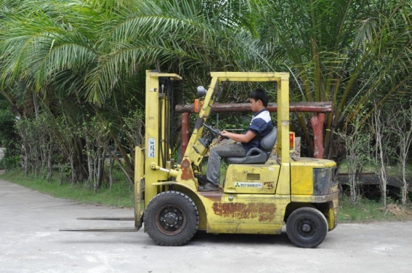 ขายFORKLIFT MITSUBISHI FD20(2ตัน)ดีเซล สวยเดิมจากญี่ปุ่น ยังไม่เคยใช้ในไทย 145,000เท่านั้น!!