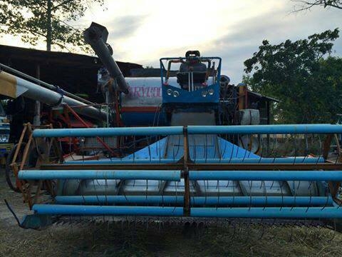 ขายรถเกี่ยวข้าวบางไทร เครืองisuzu 195 ตัวเดิน10 อุ้ม1.8 ตัน ปั๊มแฝด 22 ขายรถเกี่ยวข้าวบางไทร เครืองisuzu 195 ตัวเดิน10 อุ้ม1.8 ตัน ปั๊มแฝด 22