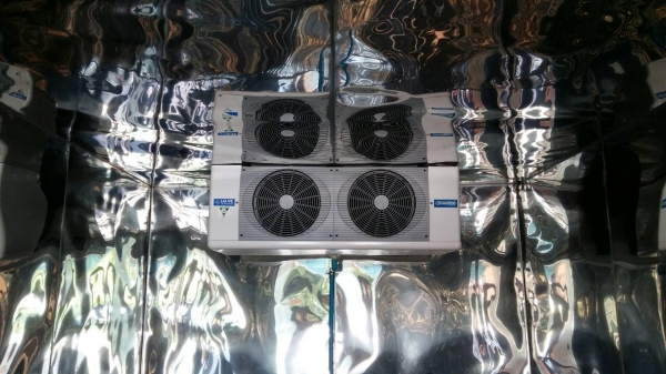 ขายตู้เย็นตั้งพื้น อุณหภูมิ -5 องศา ขายตู้เย็นตั้งพื้น อุณหภูมิ -5 องศา