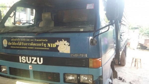 อีซูซุ NPR115 เกียร์สั้น ช่วงล่างFยาว4.30ม พร้อมใช้ ทะเบียน.โอน 295,000บ ถืกๆ อีซูซุ NPR115 เกียร์สั้น ช่วงล่างFยาว4.30ม พร้อมใช้ ทะเบียน.โอน 295,000บ ถืกๆ