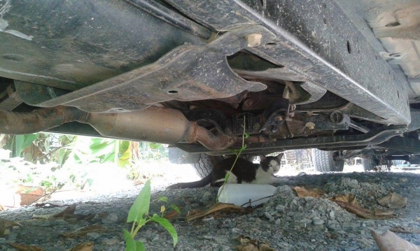 ขาย รถ ford