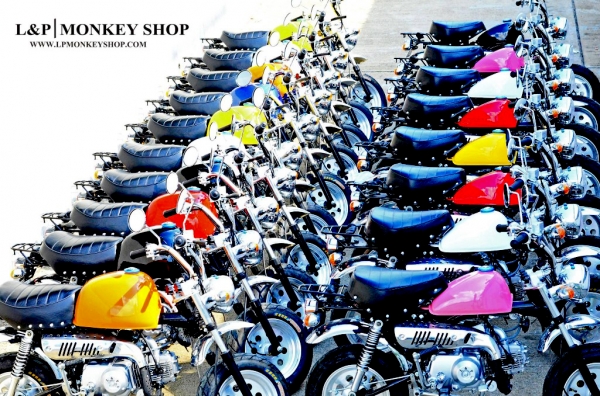 มังกี้ กอลิล่า เดิม  **ต้อนรับวันแม่** แต่งๆๆ ลดราคาทุกรุ่นและมีของแถมอีกมากมาย  ด่วนๆๆ ลดๆๆ   เริ่มต้นราคา ที 22999