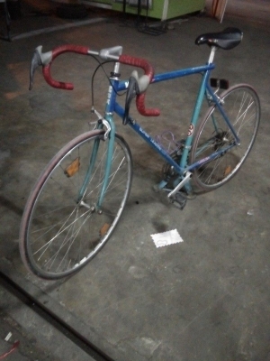 เสือหมอบ Made in France