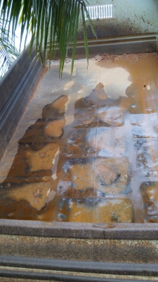 ขายรถบรรทุก 6 ล้อดัมพ์ ISUZU NQR 150 แรงม้าปี 2551 ราคา 670000