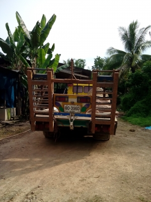 ขายขายเเล้วคร้าาาาบ570000 รถสิบล้อเตี้ยเทลเลอร์บรรทุกรถเกี่ยวข้าว