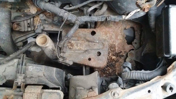 ยกเลิกการขายถาวร