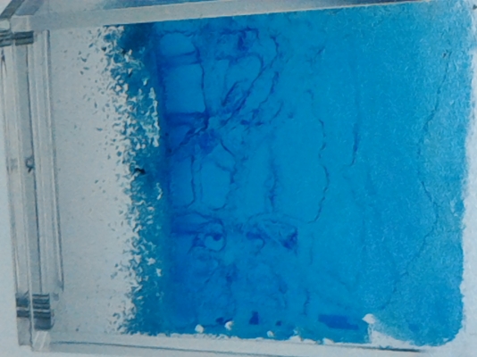 ชุดศึกษาการทำรังของมด มองเห็นการทำงานของมดในแบบต่างในโพง ขนาดเล็ก