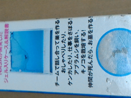 ชุดศึกษาการทำรังของมด มองเห็นการทำงานของมดในแบบต่างในโพง ขนาดเล็ก